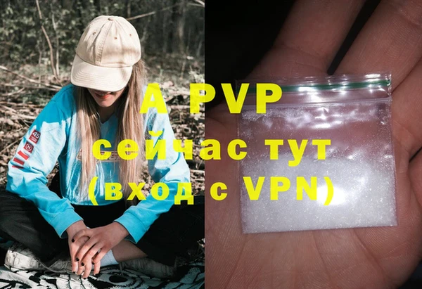 соль ск Абаза