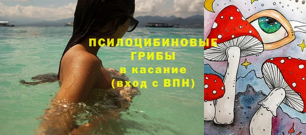 молекула духа Осинники