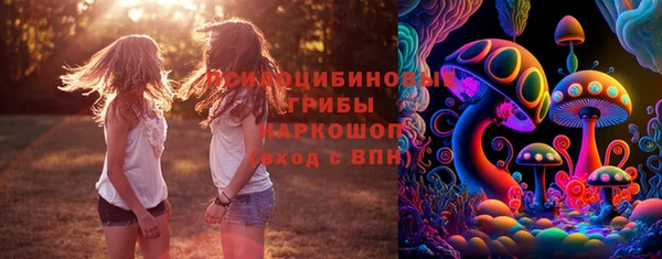 стаф Алексеевка
