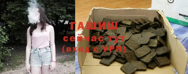 гашик Осташков